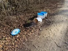 Wilde Müllablagerungen