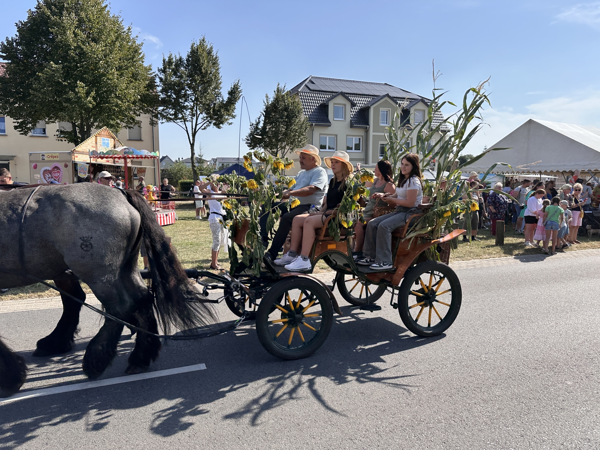 Erntefest Grüneberg 24 7