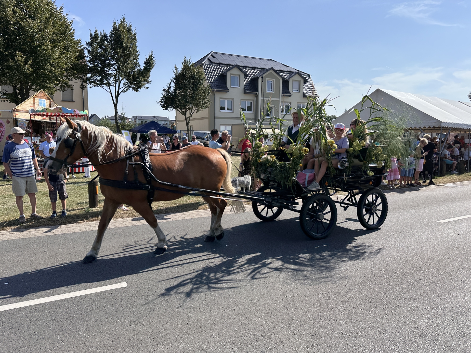 Erntefest Grüneberg 24 11