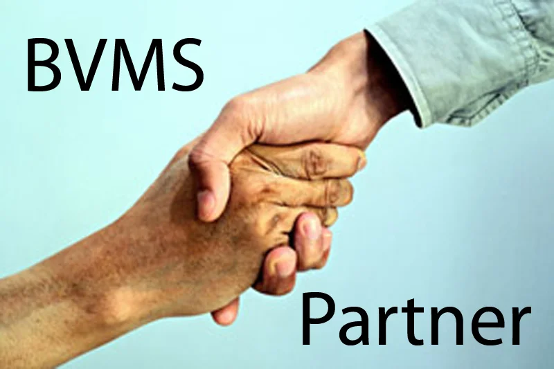 Der BVMS und das Unternehmen LL Consulting sind Partner