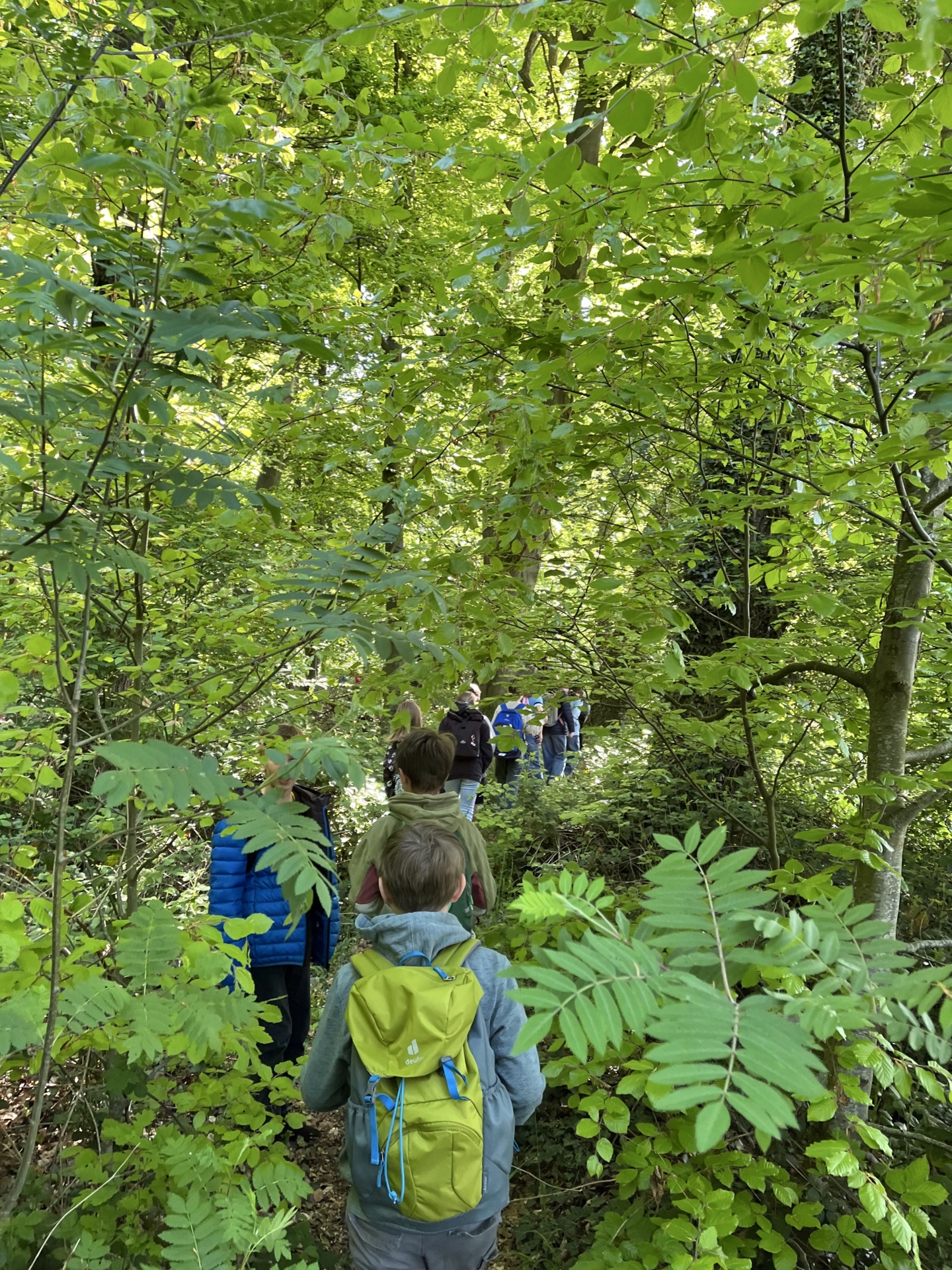 Wandertag 08.05.2025