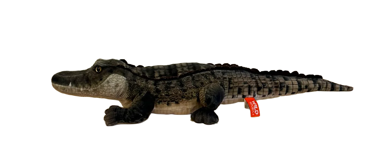 kroko