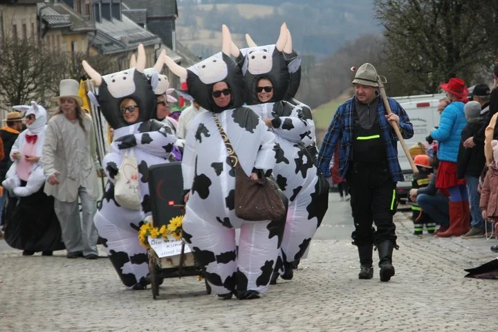 csm_TeuschnitUmzugStaabicherKühealsMehrjungfrauen_825eb9b18f
