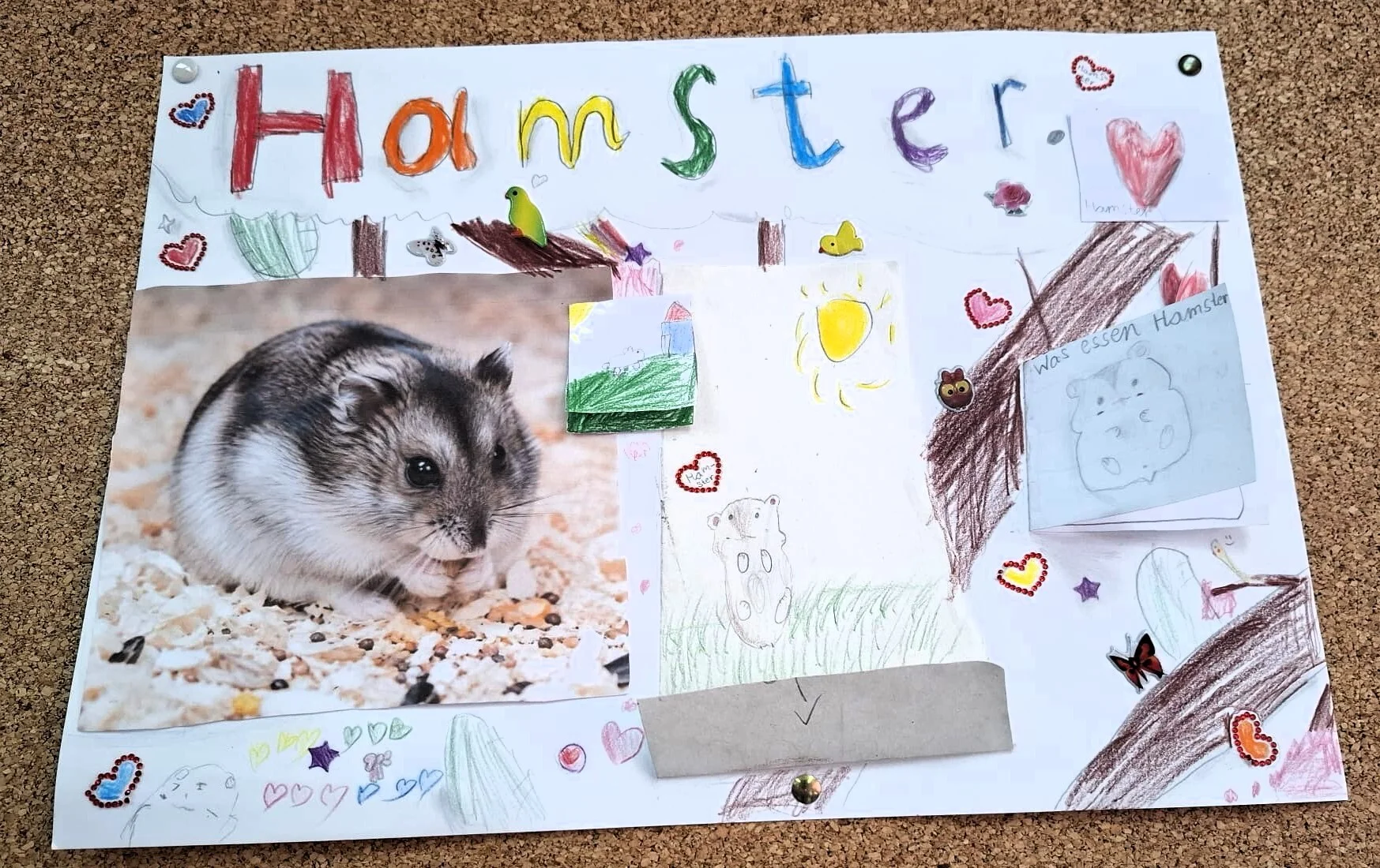 hhamster