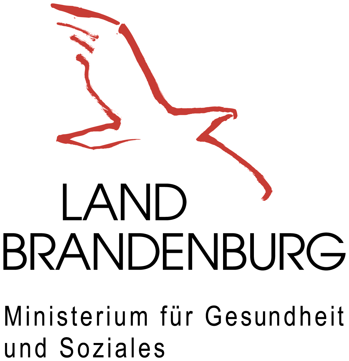 LOGO MGS