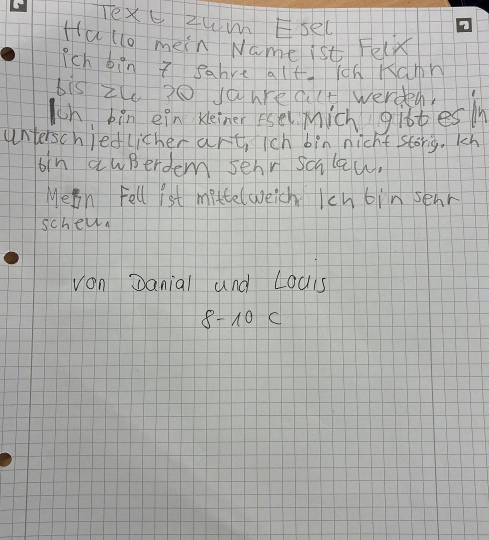 Text