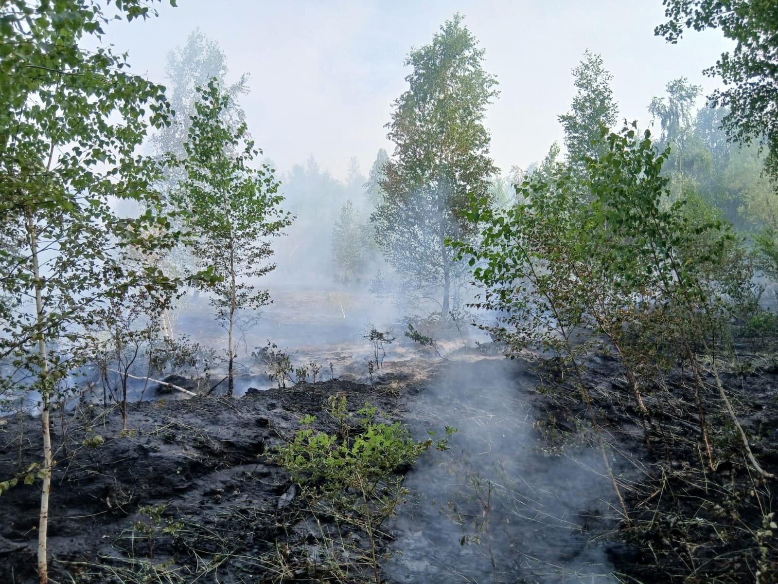 Großbrand