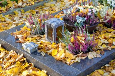 Volkstrauertag: Brandenburg gedenkt gemeinsam mit dem Volksbund der Opfer von Krieg und Gewaltherrschaft am Samstag, dem 14. November 2015
