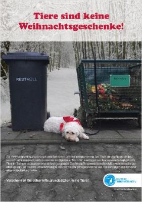 Foto zur Meldung: Verschenken sie keine Tiere zu Weihnachten! Foto zur Meldung: Verschenken sie keine Tiere zu Weihnachten!