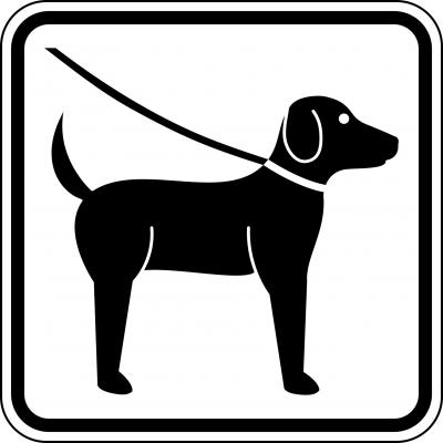 Vorschaubild zur Meldung: Hinweise zur Hundehaltung