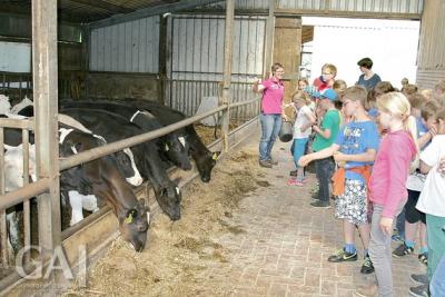 Foto zur Meldung: Grundschulkinder sahen sich Bauernhof an