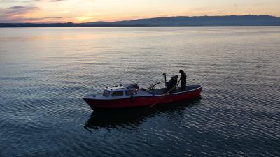 Morgenstimmung Berufsfischer auf dem Bodensee - ZDF-Planet E