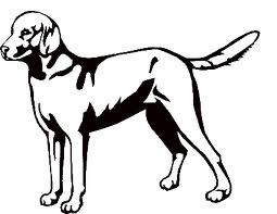 Informationen zum Halten und Führen von Hunden (Bild vergrößern)