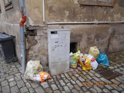 Ordnung und Sauberkeit in unserer Stadt/Illegale Müllentsorgung