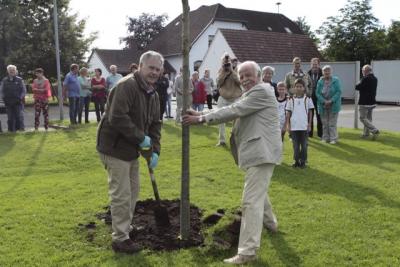 Ein Baum für Bokholt-Hanredder zur 650 Jahrfeier unserer Gemeinde (Bild vergrößern)