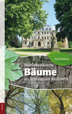 Vorschaubild zur Meldung: Bemerkenswerte Bäume im Schlosspark Altdöbern
