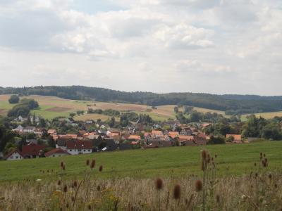 Neuverpachtung landwirtschaftlicher Flächen durch Hessen-Forst