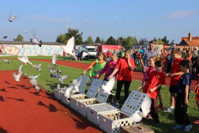 Vorschaubild zur Meldung: Staffellauf und –spiele beim 7. Kinder- und Jugendsportfest