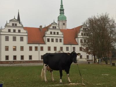 Fotoshooting vor dem Schloss Doberlug (Bild vergrößern)