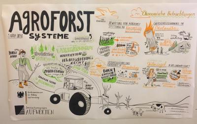 5. Forum Agroforstsysteme in Senftenberg
