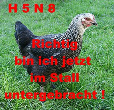 Achtung: Vogelgrippe in Oßmannstedt festgestellt (Bild vergrößern)