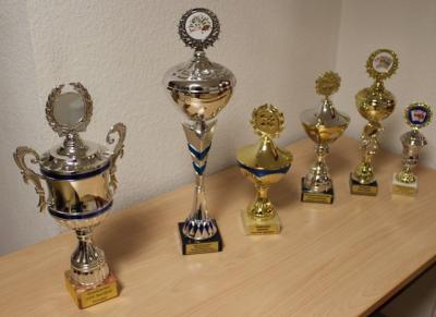 Die aufgereiten Pokale für die Einzelwertung pro Ortsteil und Gesamtwertung, Foto: privat