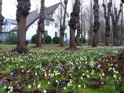 Foto zu Meldung: Frühlingserwachen im Hochdorfer Garten