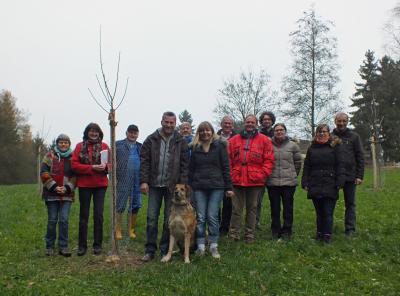 Meldung: Netzwerk Streuobst - Freude über 80 neue Bäume