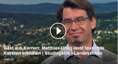 Interview mit Matthias Uhlig