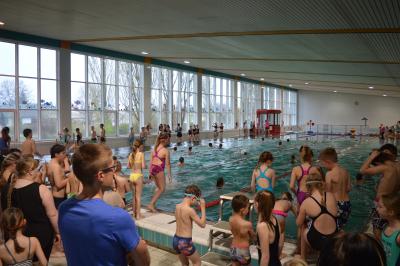 20. Kinder- und Jugendsportspiele des Landkreises OSL im Schwimmen am 04.04.2017 in Lübbenau