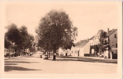 Eisenbahnstraße 1953, Baumallee im Vordergrund