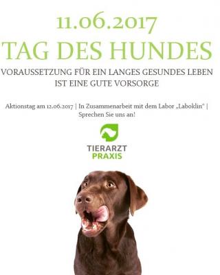 Tag des Hundes, Babelsberg, Potsdam, Tierarztpraxis, Zimpfer