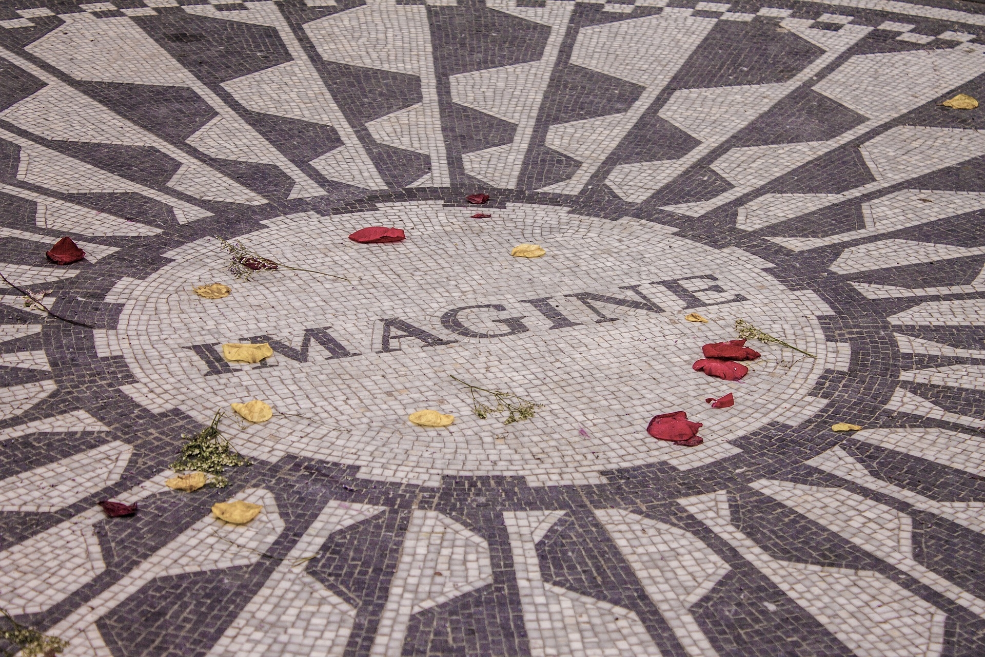 imagine-4643727_1920