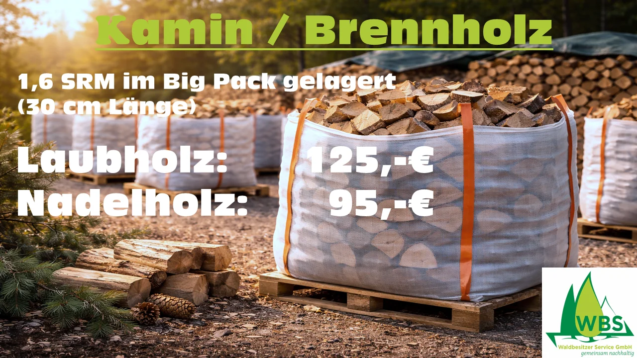 Kamin / Brennholz