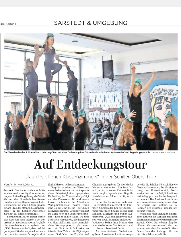 Zeitungsartikel Hildesheimer Allgemeine Zeitung