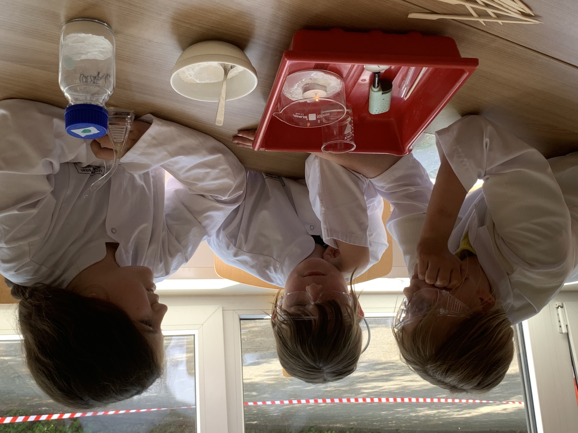 MexLab 2