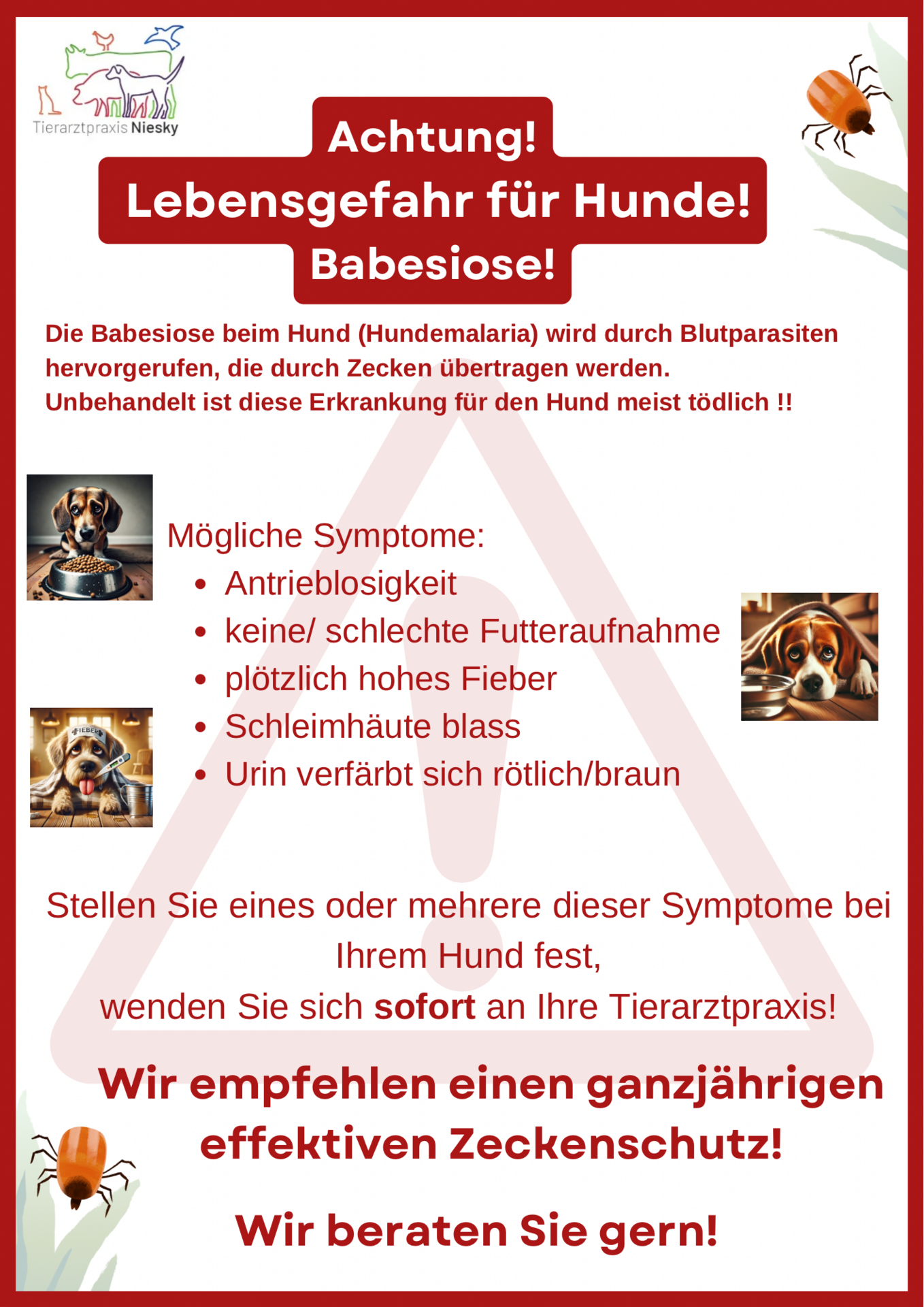 Achtung! Lebensgefahr für Hunde - Babesiose