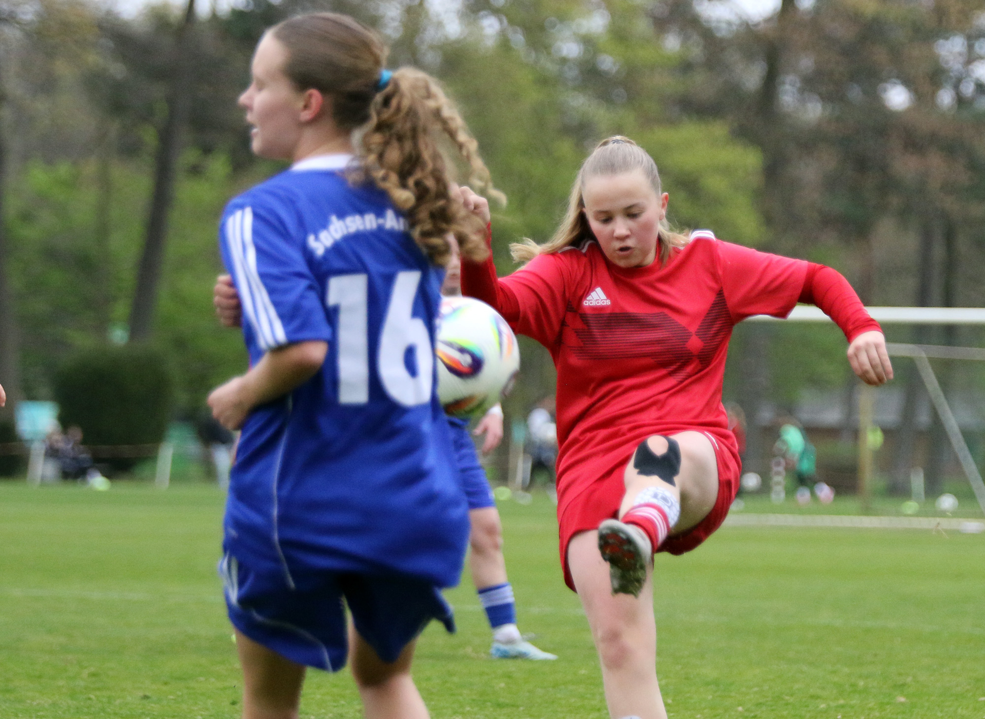 12_FLB-U16