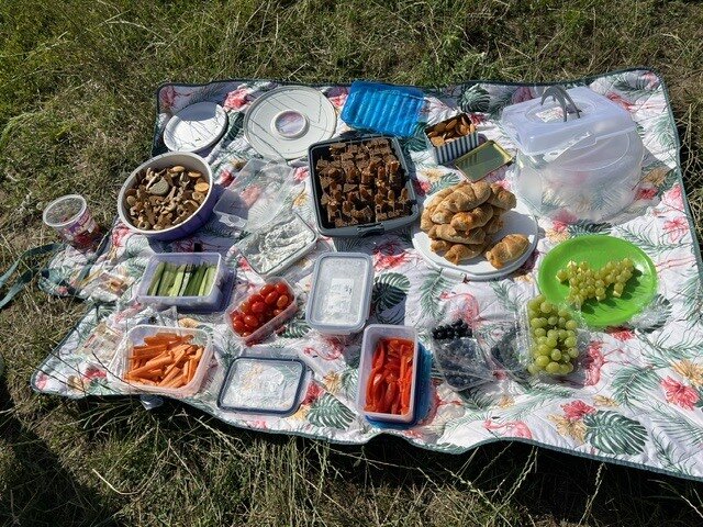 Picknick