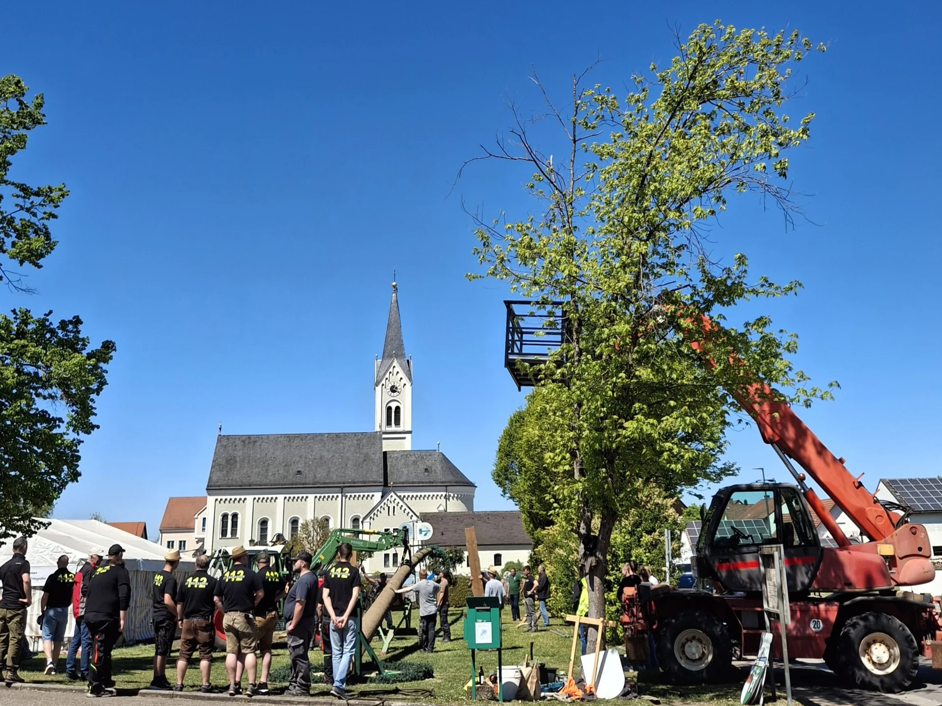 Maibaum 1