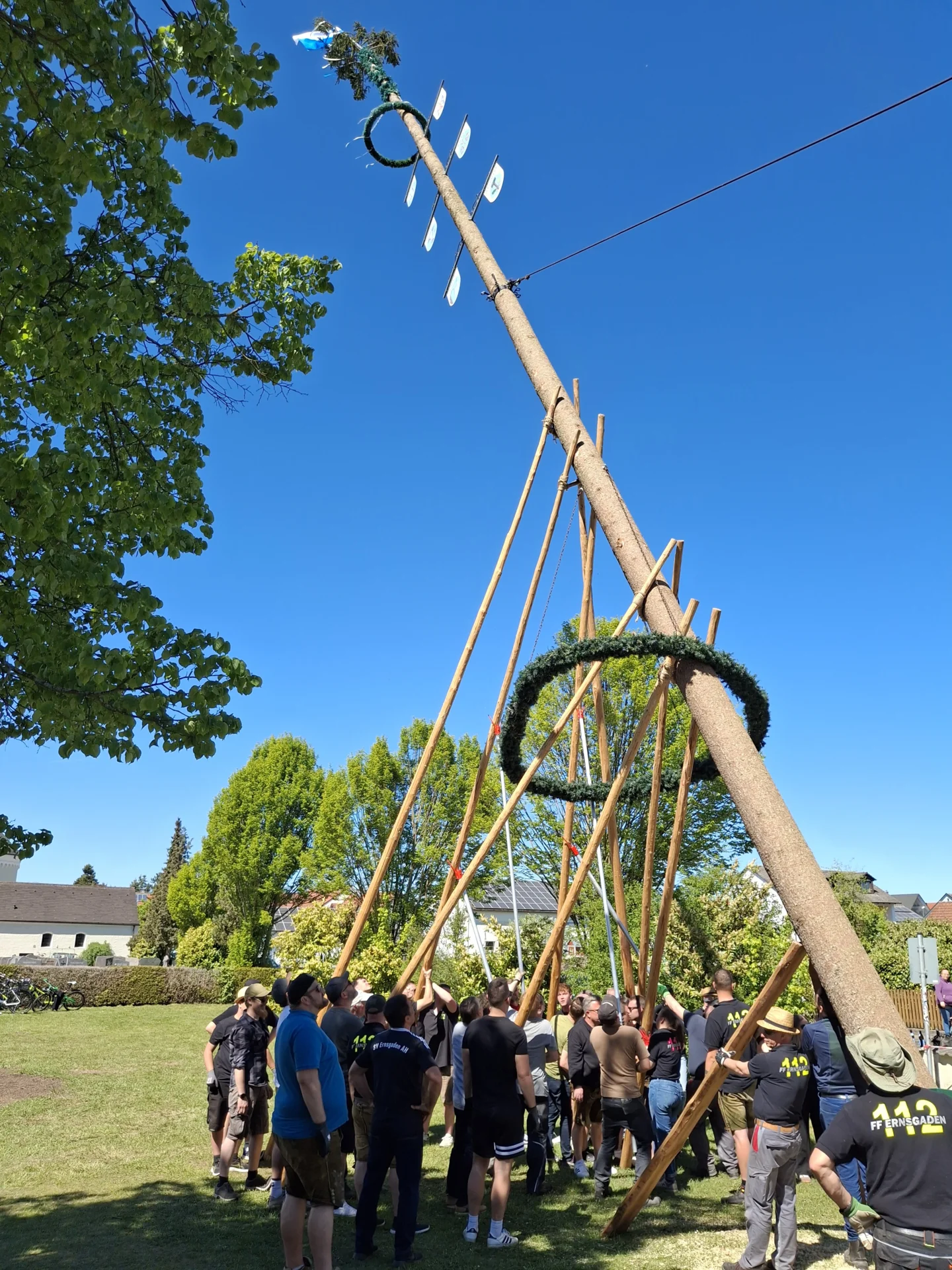 Maibaum 4