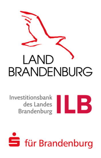 Innenstadt-Projekt-353x550