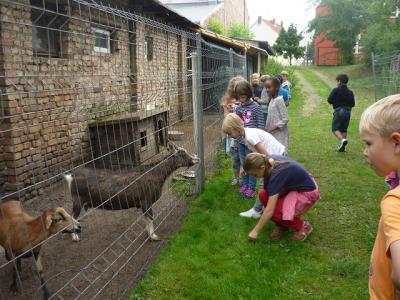 Foto zur Meldung: Klasse 1a: Zu Besuch im Tierheim