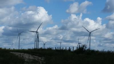 Windkraftanlagen hinter Zernitz