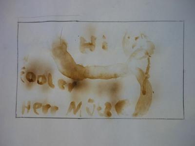Foto zur Meldung: Klasse 5b: Geheimschrift aus Milch