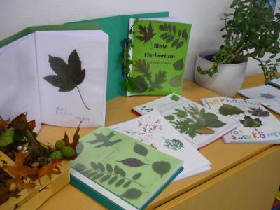 Foto zur Meldung: Klasse 3a: Das erste Herbarium