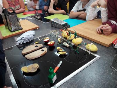 Foto zur Meldung: Kartoffelexperimente  - Unterrichtsprojekt "Kartoffel"