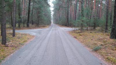 Waldwege als Waldbrandschutzwege ausgebaut (Bild vergrößern)