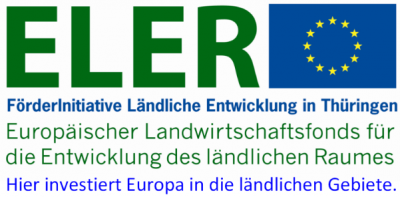 Erstellung eines Leerstandskatasters - ein gemeinschaftliches Projekt des Amtes Kleine Elster sowie der Städte Doberlug-Kirchhain und Sonnewalde