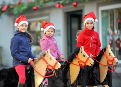 Vorschaubild zur Meldung: Weihnachtsaktion - "Pferde für unsere Kinder e.V."
